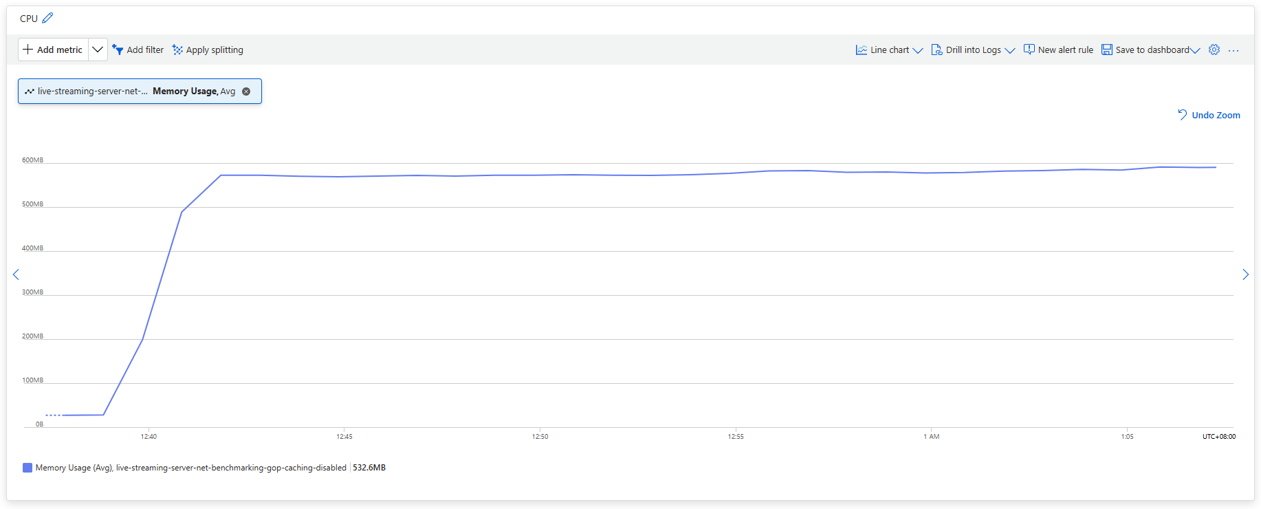 Memory Usage