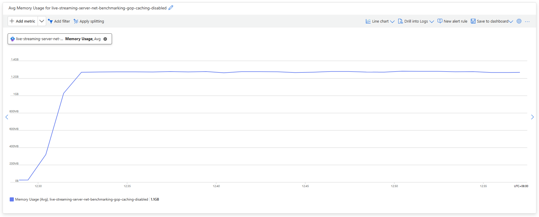 Memory Usage