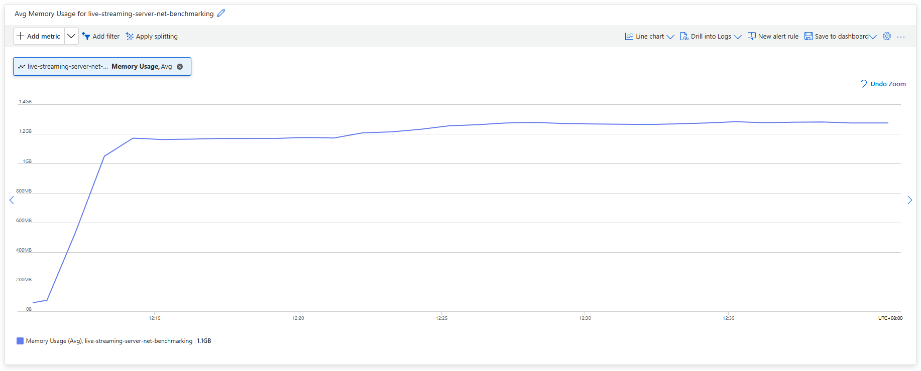 Memory Usage