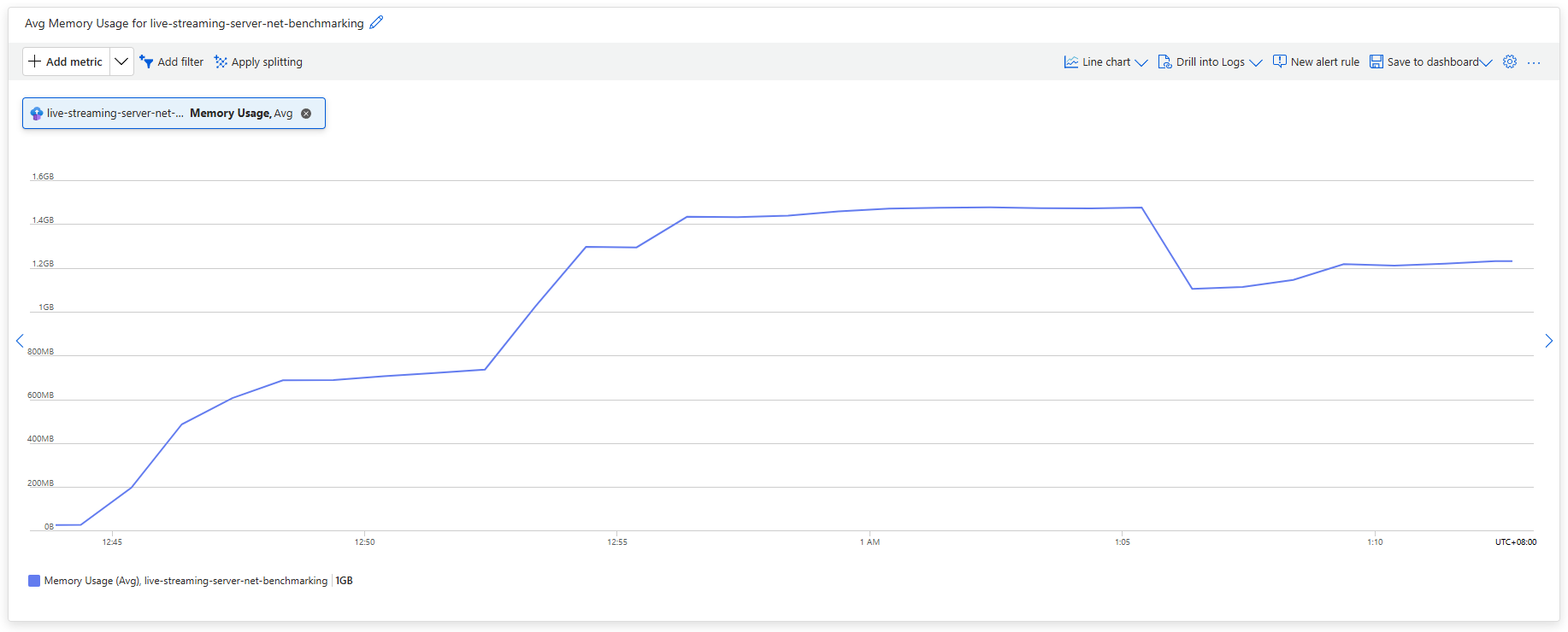 Memory Usage